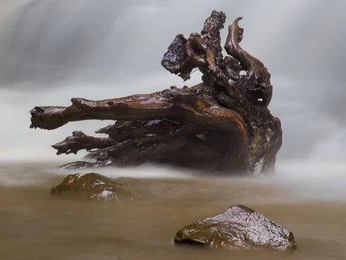  Cathedral Falls, West Virginia--Photo by Chuck Reback--@2015--All Rights Reserved 